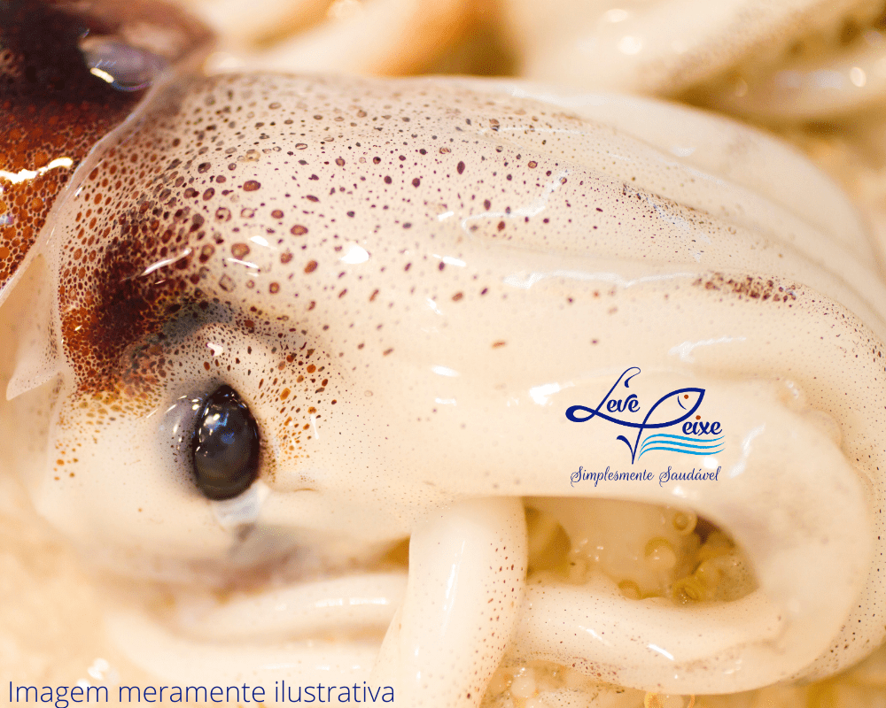 CABEÇA DE LULA PCT 500G -min