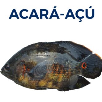 ACARÁ-AÇU