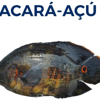 ACARÁ-AÇU