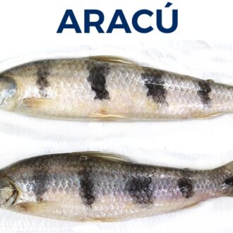 ARACÚ