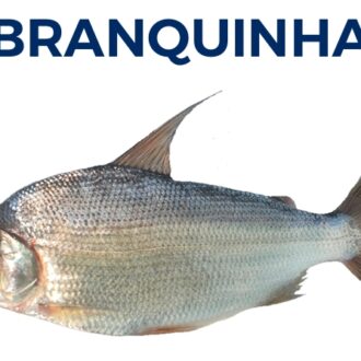 BRANQUINHA