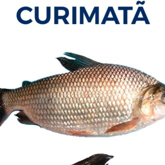 CURIMATÃ