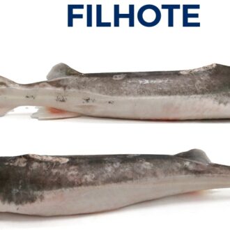 FILHOTE
