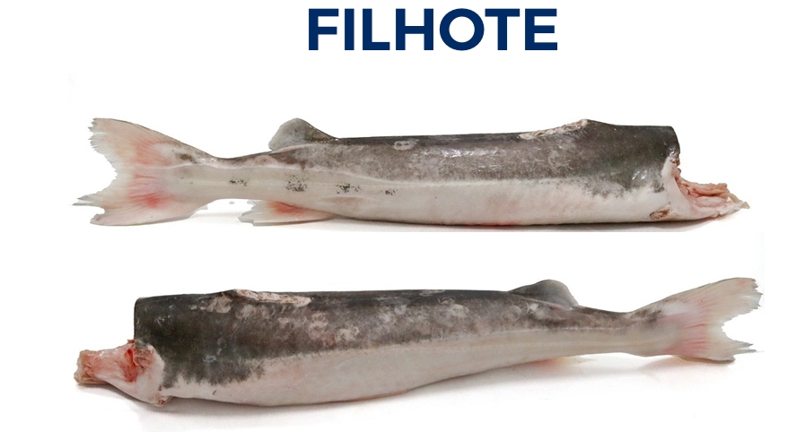 FILHOTE