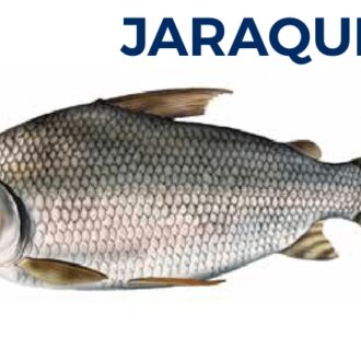 JARAQUI
