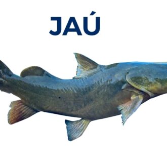 JAÚ