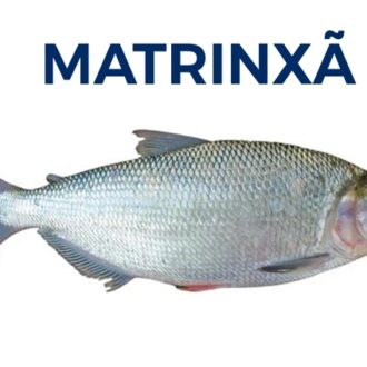 MATRINXÃ