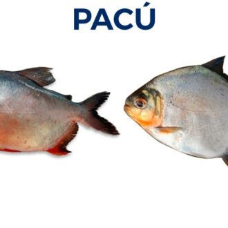 PACÚ
