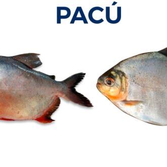 PACÚ