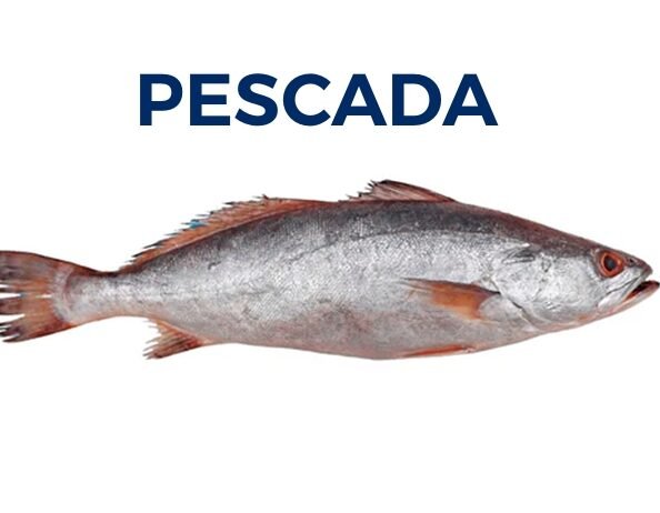 PESCADA