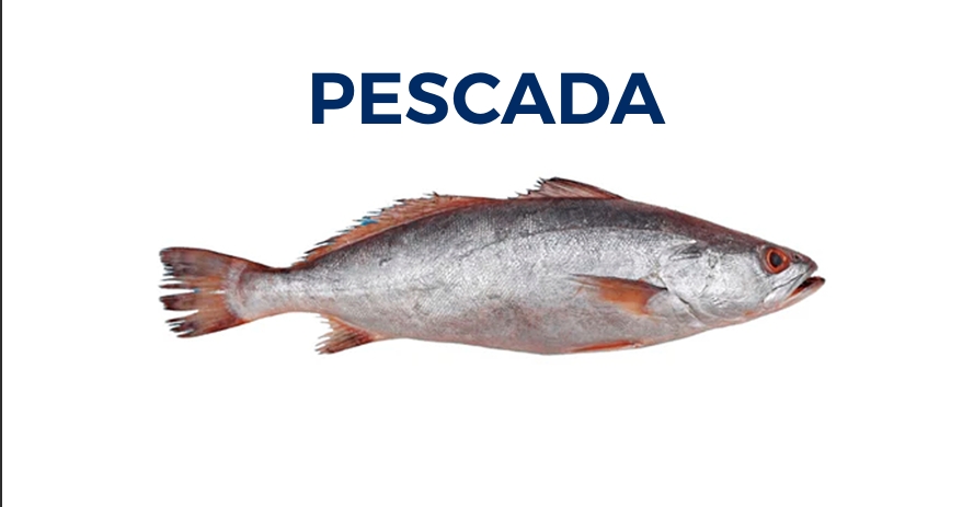 PESCADA