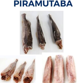 PIRAMUTABA