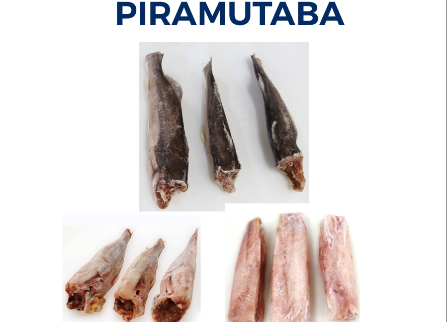 PIRAMUTABA