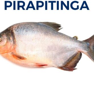 PIRAPITINGA