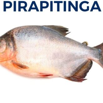 PIRAPITINGA