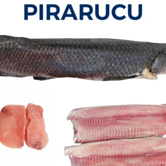 PIRARUCU