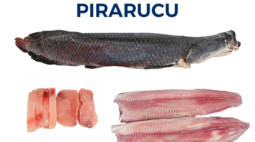 PIRARUCU