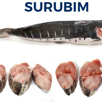 SURUBIM