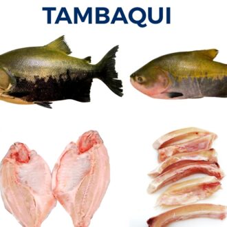 TAMBAQUI