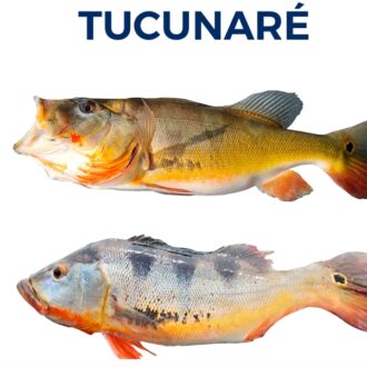 TUCUNARÉ